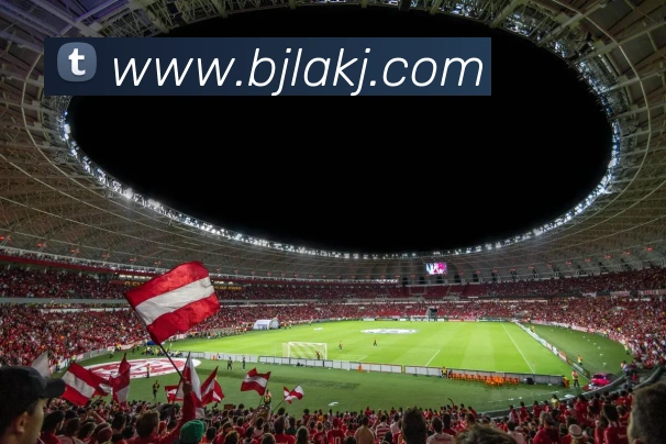 百家乐网站服务体系